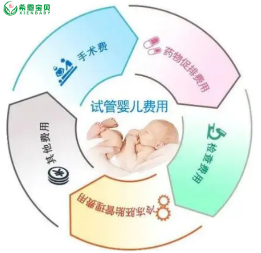 希恩宝贝-哈萨克斯坦试管婴儿费用：透明、公正无隐形消费